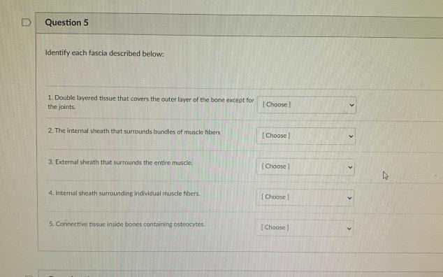 Download Solved Question 5 Identify Each Fascia Described Below 1 Chegg Com