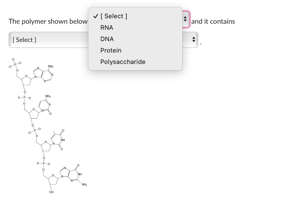 Solved The Polymer Shown Below | Chegg.com