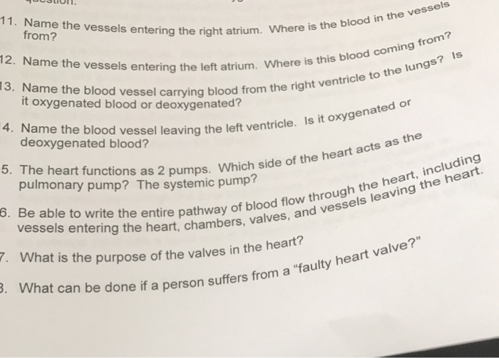 4 blood vessels that enter the left atrium