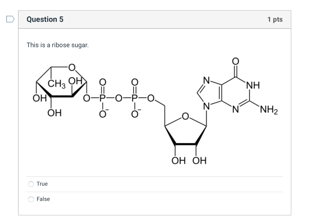 Solved Question 3 1 pts The base in this image is a purine. | Chegg.com