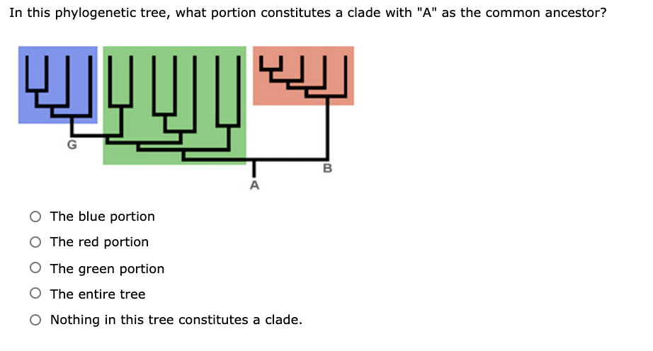 Figure From Assessing Clade Wise Concordance Between, 51% OFF