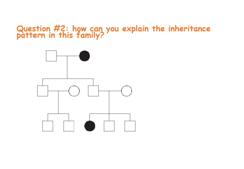 Question \#2: how can you explain the inheritance pattern in this family?