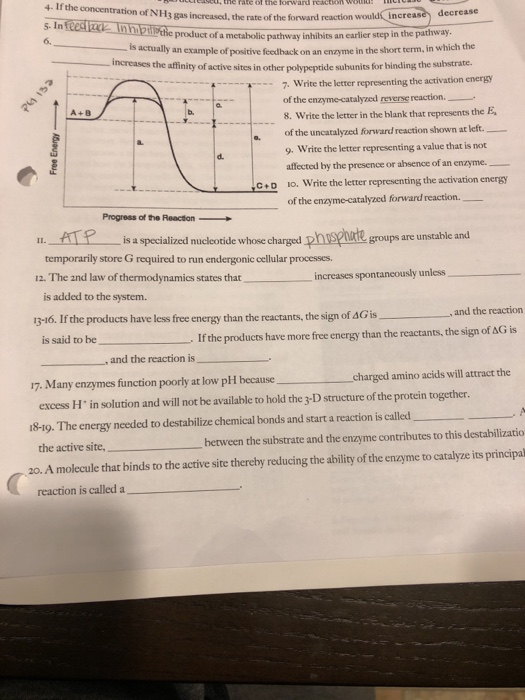 Solved Is the products have less free energy than the | Chegg.com