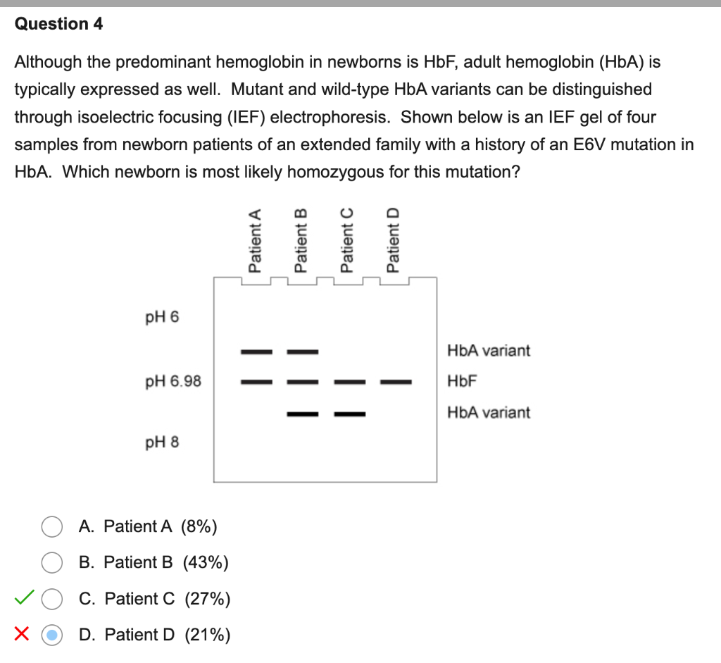 Although the predominant hemoglobin in newborns is \( \mathrm{HbF} \), adult hemoglobin \( (\mathrm{HbA}) \) is typically exp