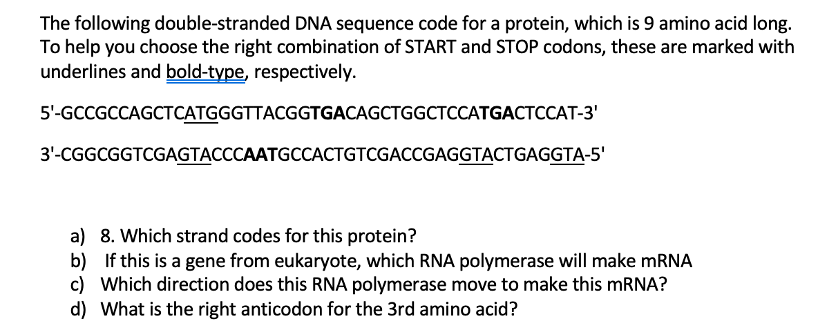 Solved The following double-stranded DNA sequence code for a | Chegg.com