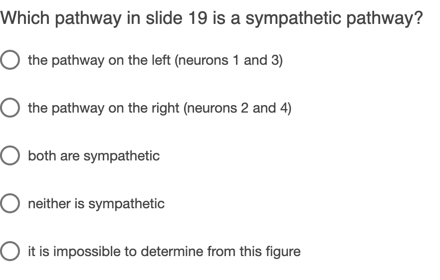 Solved Cns Cns 1 2 Sympathetic Vs Parasympathetic Pathway Chegg Com