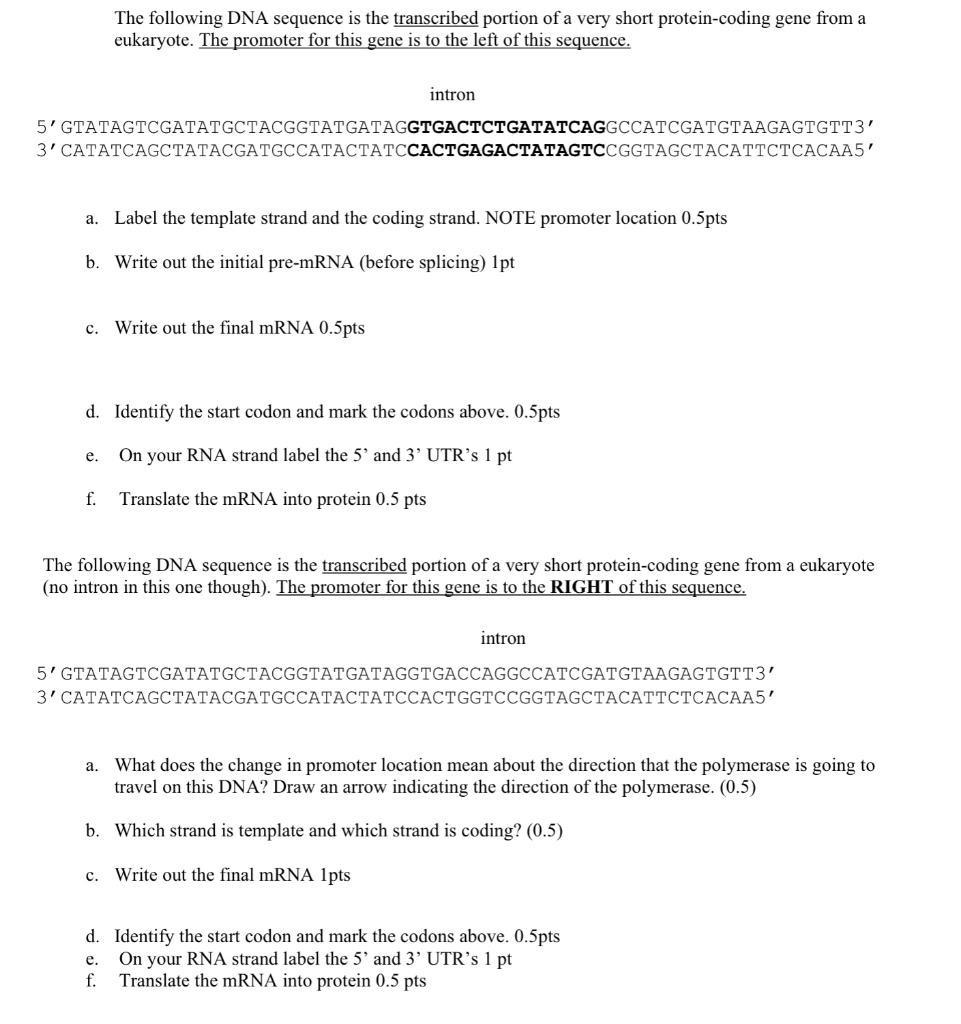 Solved The following DNA sequence is the transcribed portion | Chegg.com