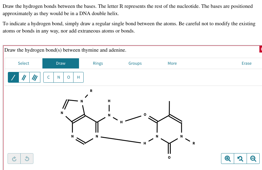 draw the hydrogen bond s between thymine and adenine kiddiesinvan