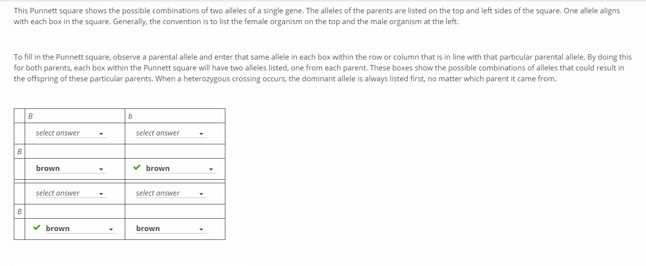 Solved This Punnett Square Shows The Possible Combinations | Chegg.com