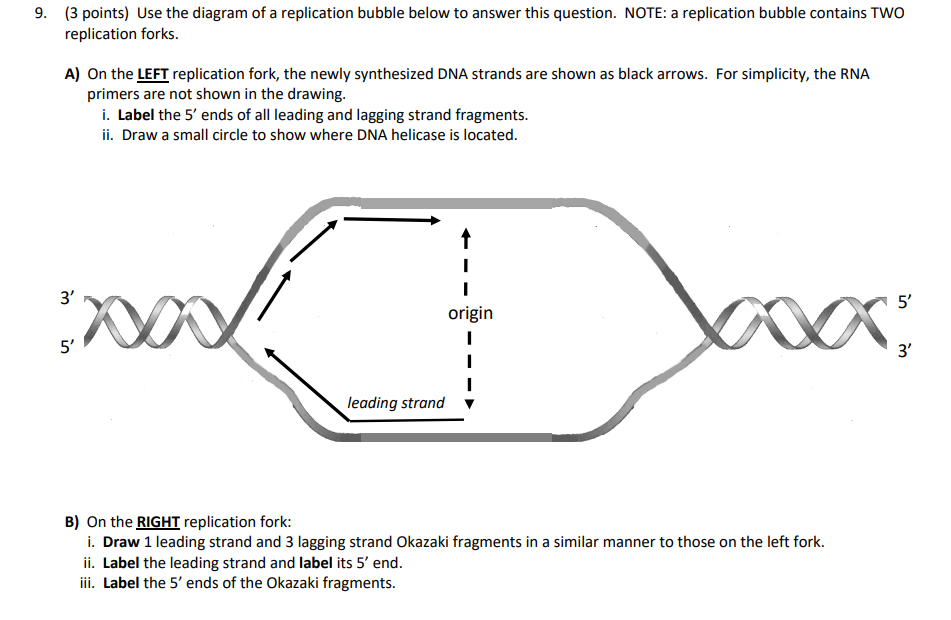 Solved 9. (3 points) Use the diagram of a replication bubble | Chegg.com