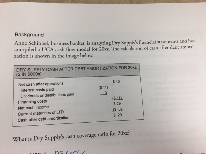 Solved Background Anne Schippel, business banker, is