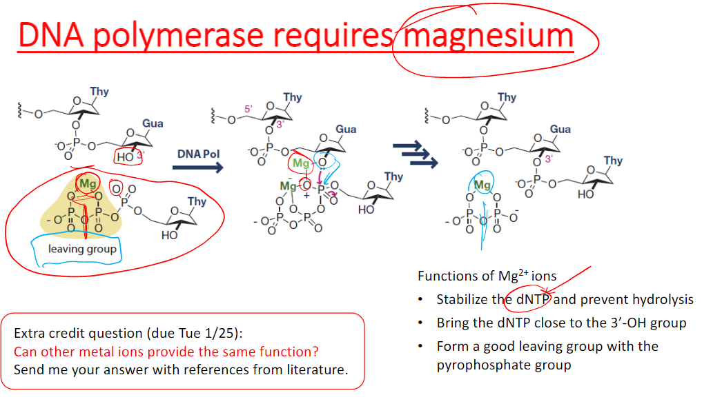 The part I'm having a hard time understanding is The part I'm having a hard time understanding is