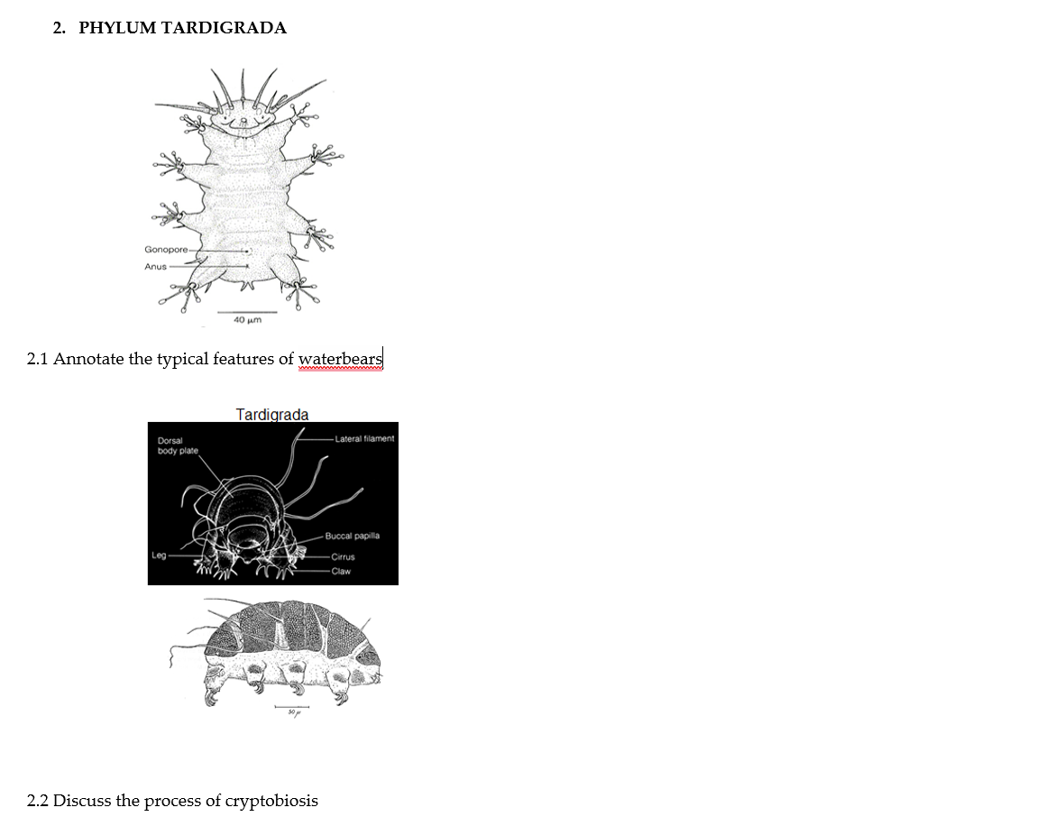 Solved 2. PHYLUM TARDIGRADA 2.1 Annotate the typical