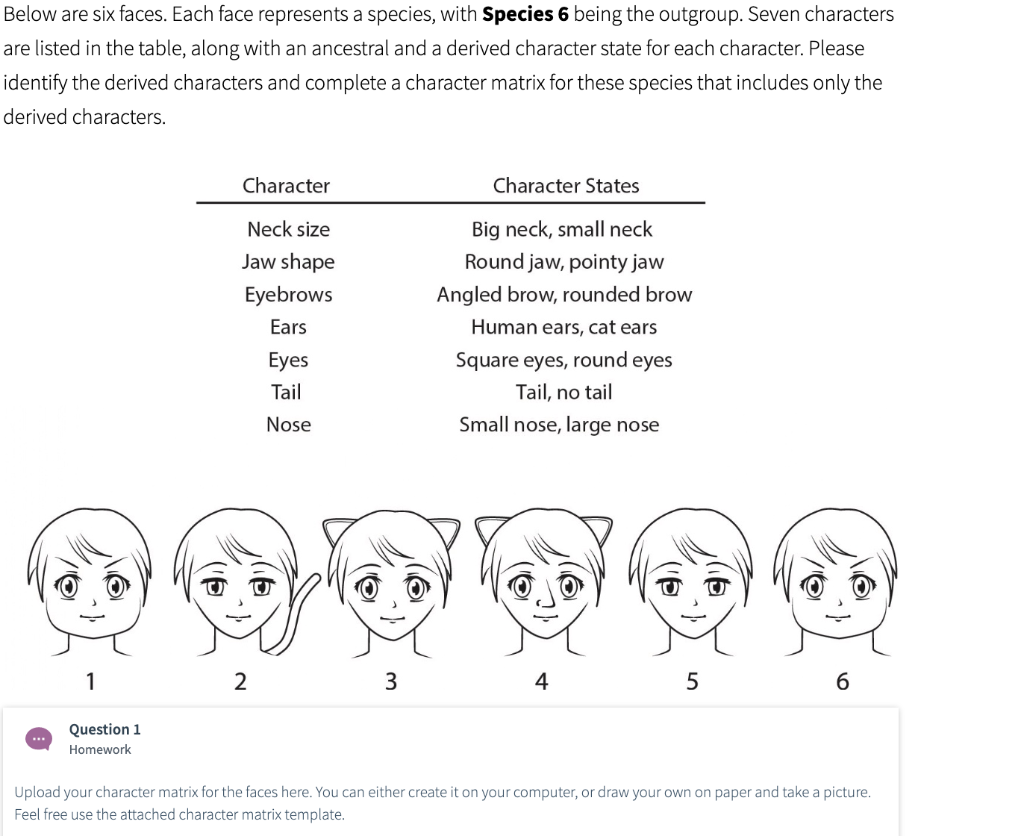 Solved Below Are Six Faces Each Face Represents A Specie Chegg Com