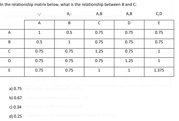 Solved In the relationship matrix below, interpret what the | Chegg.com