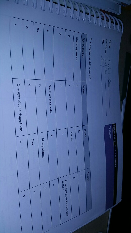 Solved REVIEW SHEET EXERCISE 5 Name Osen Collms Pvo 19 | Chegg.com