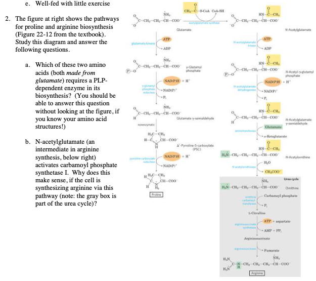 Solved e. Well-fed with little exercise 2. The figure at | Chegg.com