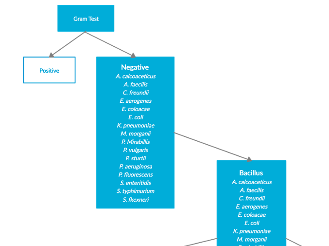 Solved Can someone do an unknown bacteria identification