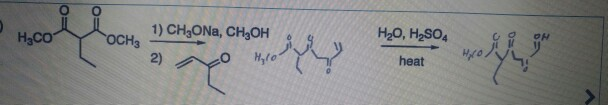 Solved 1) CH3ONa, CH3OH H20, H2SO4 HaCO OCH3 heat 2) | Chegg.com