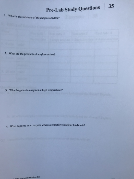 Solved PreLab Study Questions 35 1. What is the substrate
