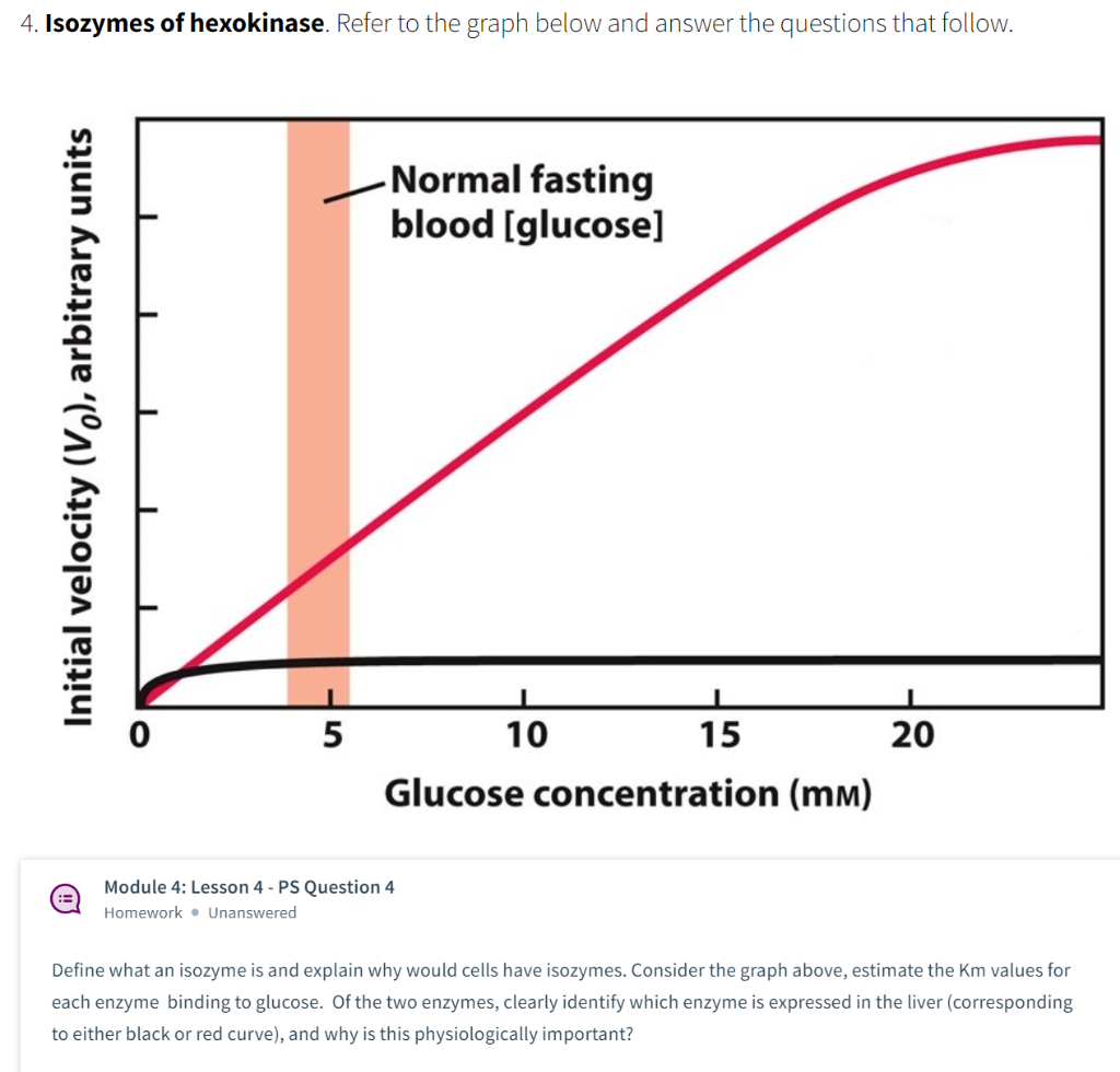 Solved 4. Isozymes of hexokinase. Refer to the graph below | Chegg.com