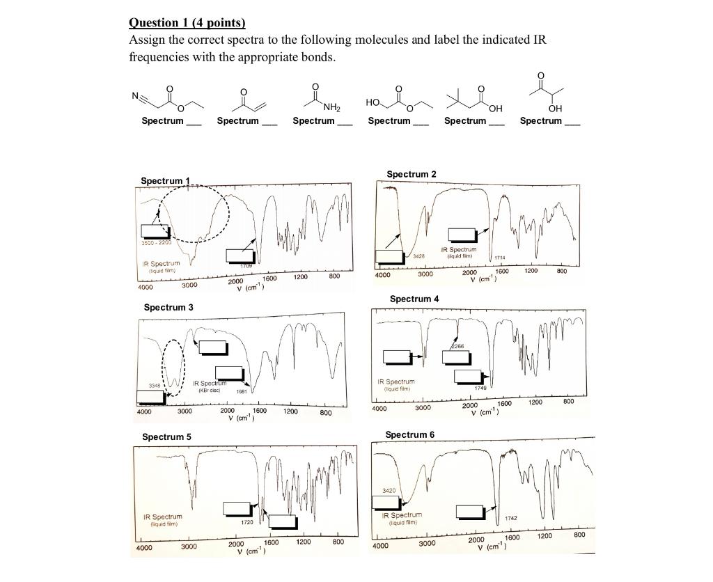 Solved Question 1 (4 points) Assign the correct spectra to | Chegg.com