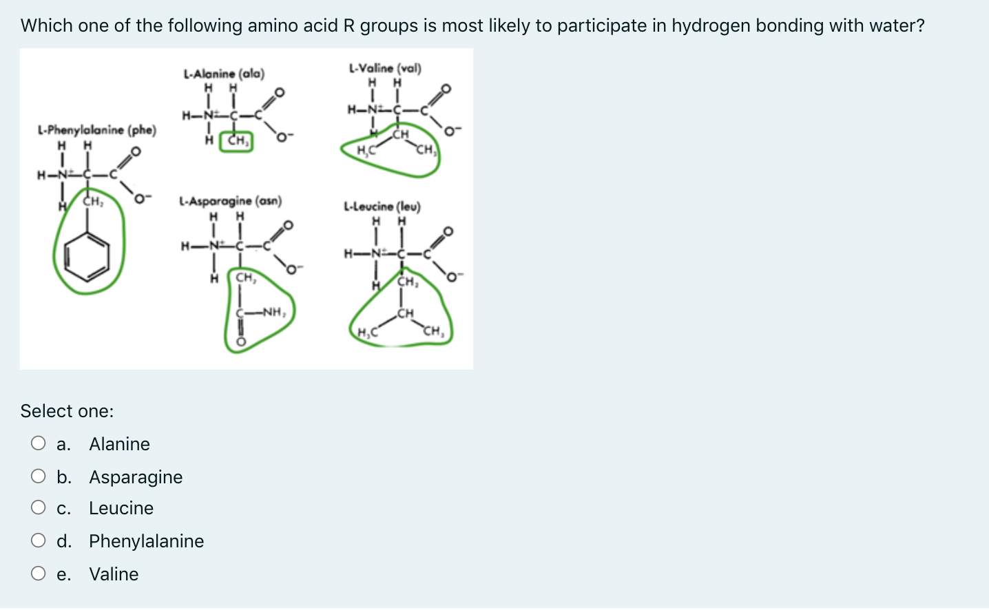 Solved Which one of the following amino acid R groups is | Chegg.com
