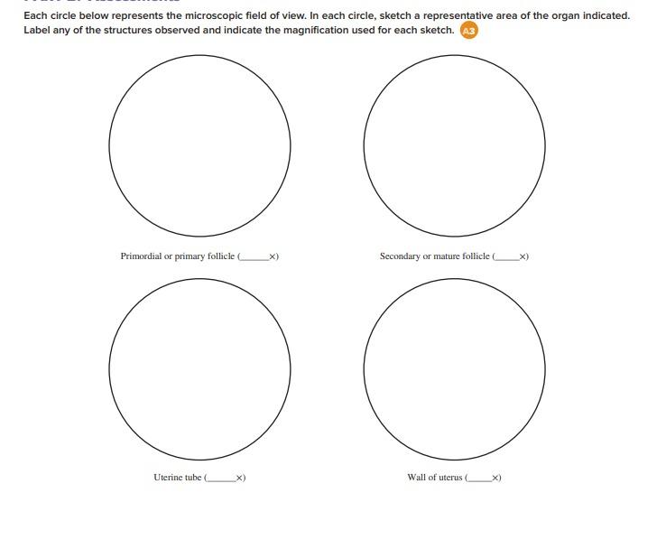 Each circle below represents the microscopic field of | Chegg.com