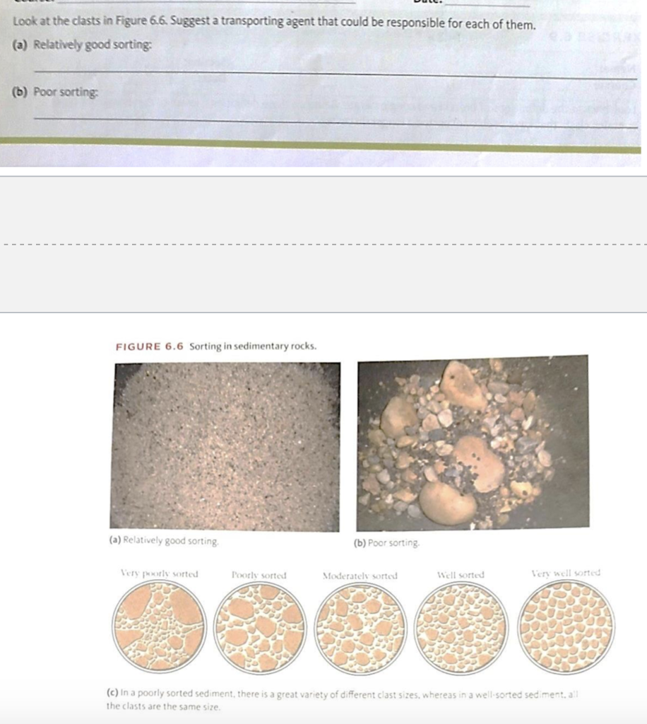 Solved Match the agent of transport with the sediment size. | Chegg.com