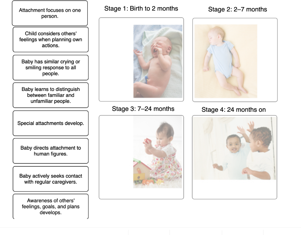 Solved Using Bowlby's Stages of Attachment match the | Chegg.com