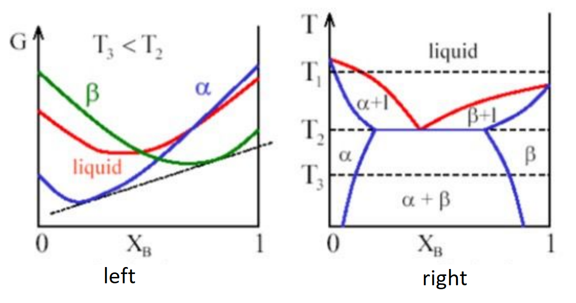 Solved From The Figure Below In The Equilibrium Phase | Chegg.com