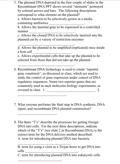 Solved 5. The plasmid DNA depicted in the first couple of | Chegg.com