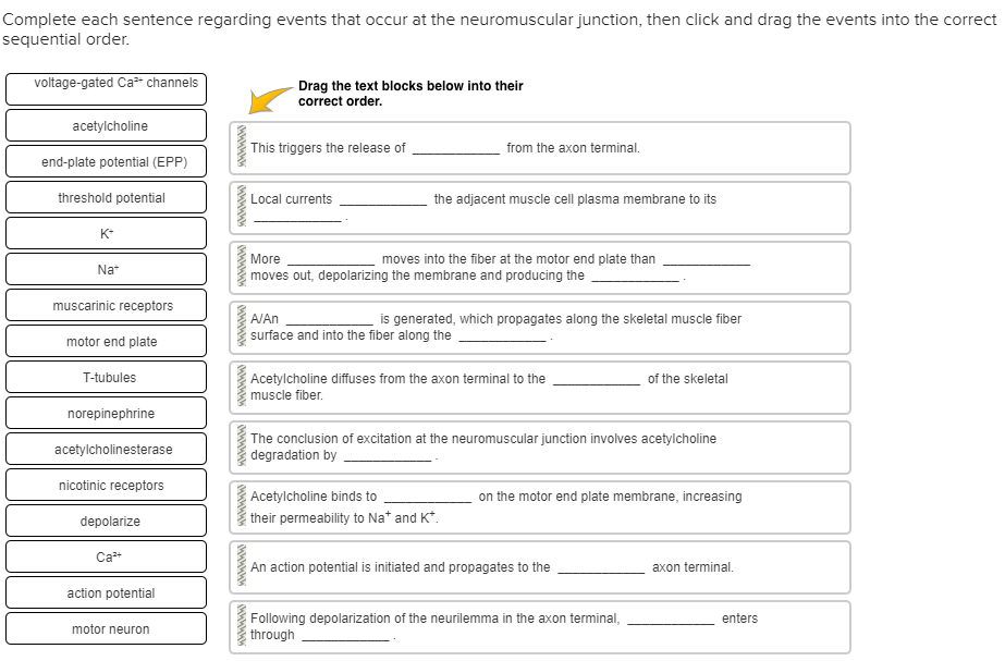 Solved Complete each sentence regarding events that occur at