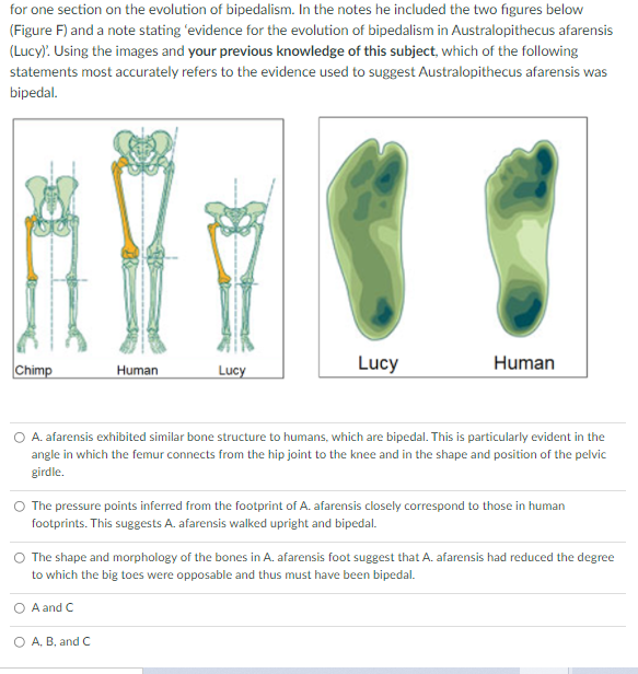 Solved for one section on the evolution of bipedalism. In | Chegg.com