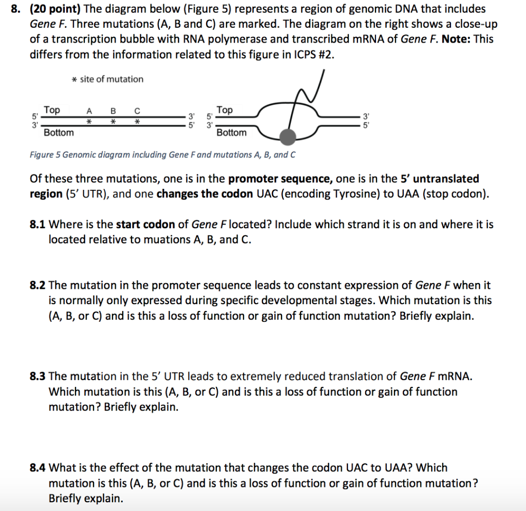 Solved 8. (20 point) The diagram below (Figure 5) represents | Chegg.com