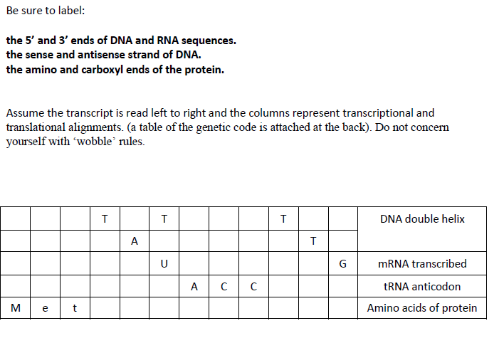 Solved Be sure to label: the 5' and 3′ ends of DNA and RNA | Chegg.com