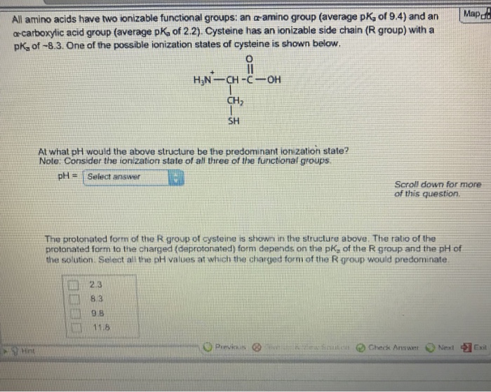 Solved n Mapd All amino acids have two ionizable functional