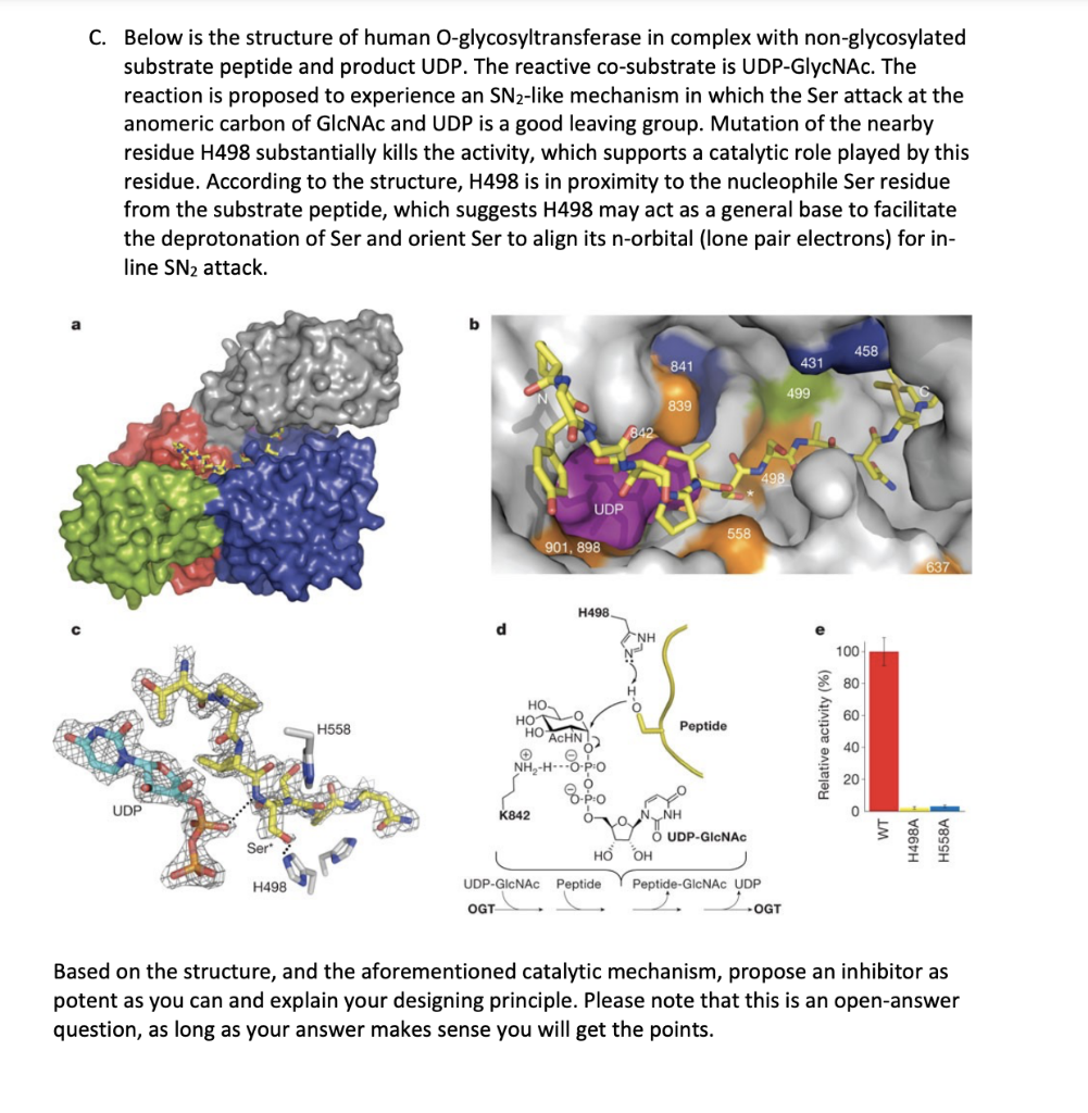Solved C. Below is the structure of human | Chegg.com