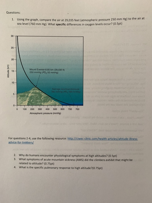 Into thin air chapter 4 image