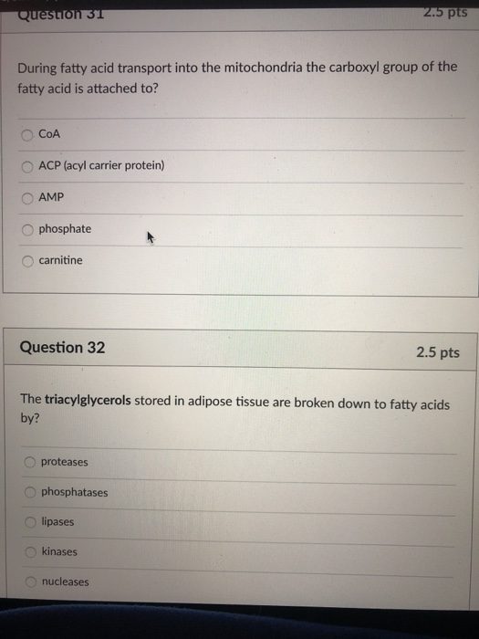 Solved During fatty acid transport into the mitochondria the | Chegg.com