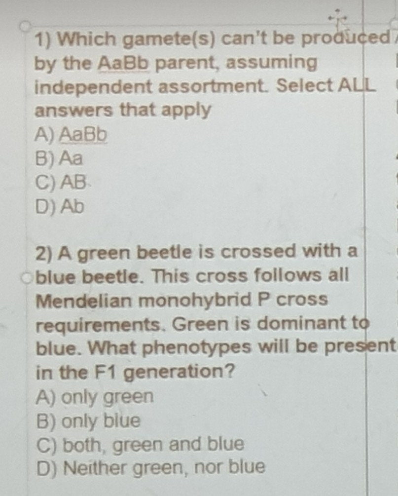 Solved 1) Which gamete(s) can't be produced by the AaBb