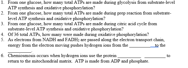 Solved 1. From one glucose, how many total ATPs are made | Chegg.com