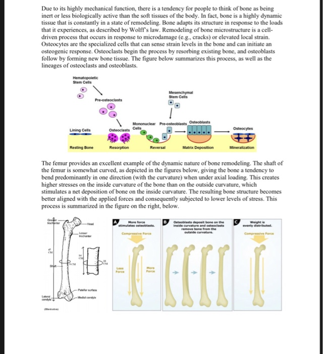 Solved Due to its highly mechanical function, there is a