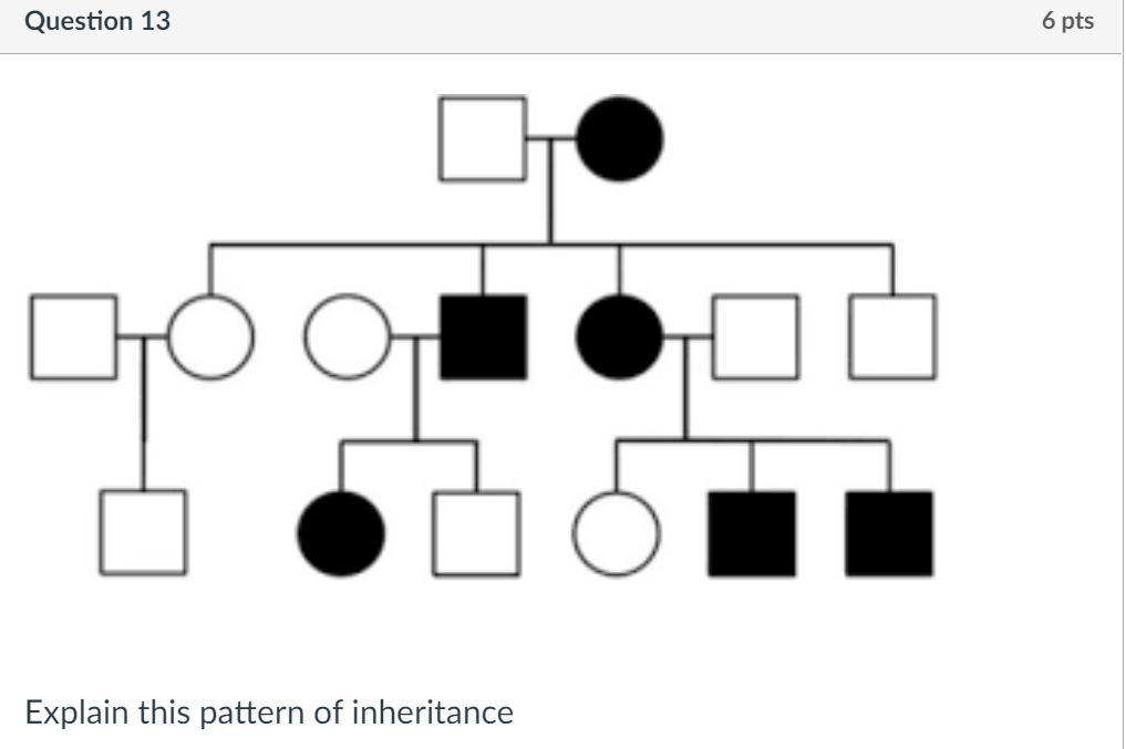 Solved Question 13 6 Pts IT Explain This Pattern Of | Chegg.com