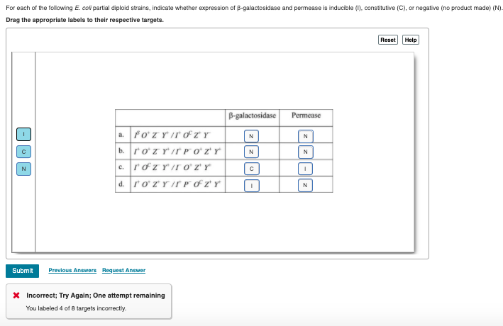 Solved For Each Of The Following E Col Partial Diploid S Chegg Com