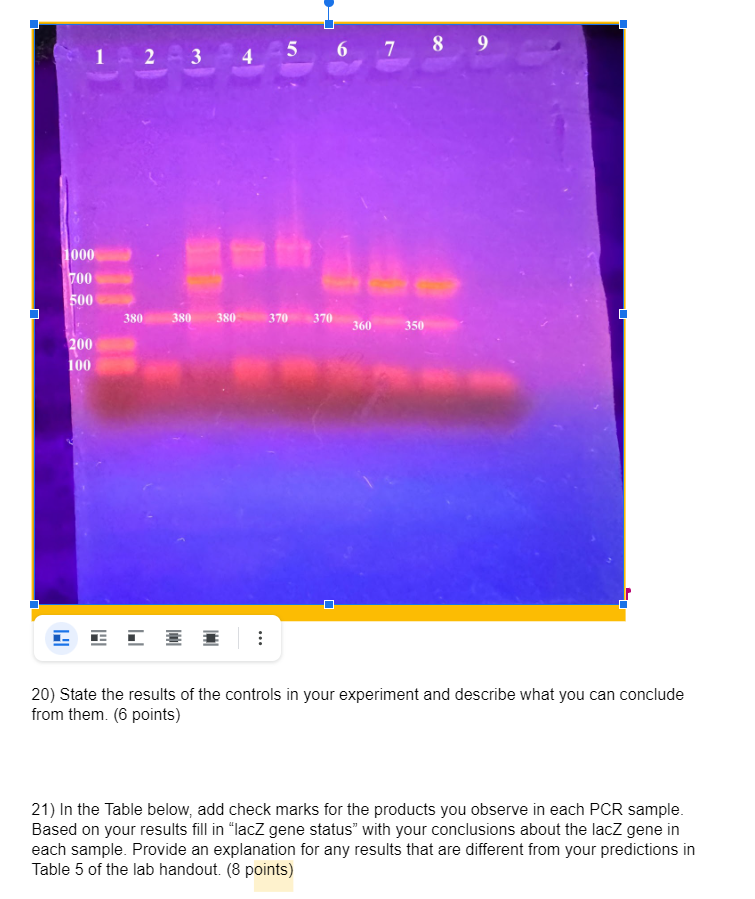 State the results of the controls in your experiment | Chegg.com