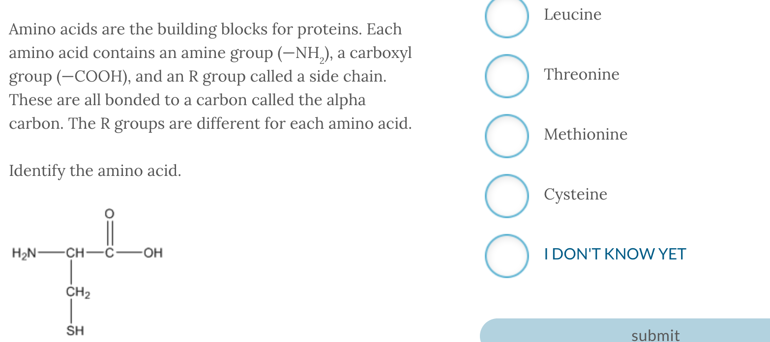 Solved Leucine Amino acids are the building blocks for