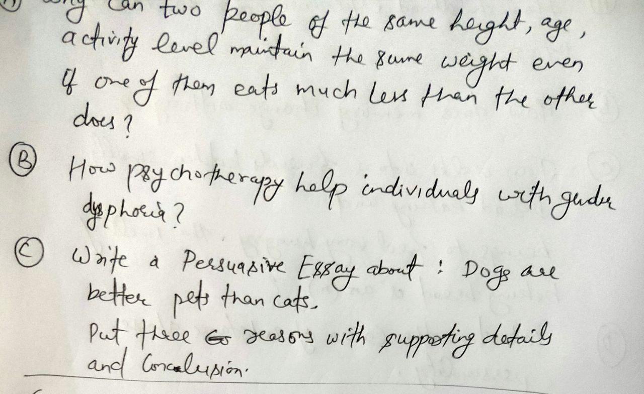 do dogs make better pets than cats essay