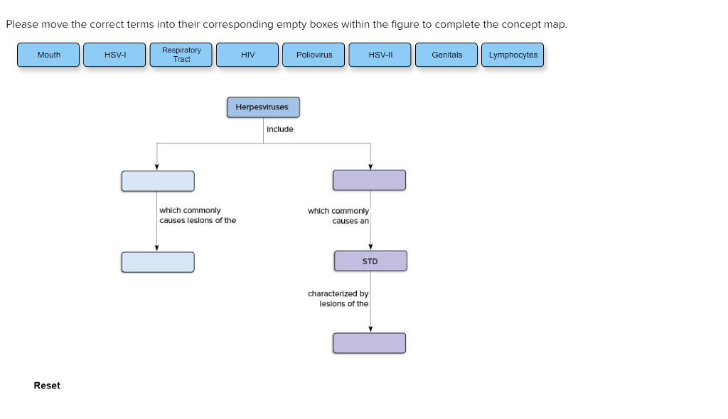 Solved Match the herpes simplex virus with the appropriate