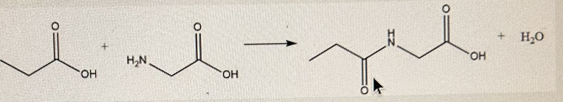 Solved +H2O | Chegg.com